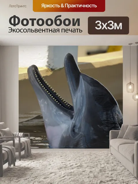 Фотообои Дельфин