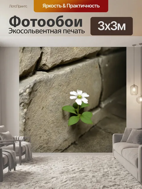 Фотообои небольшой белый цветок, растущий из трещины в старом каменном стене, символизирует надежду и стойкость