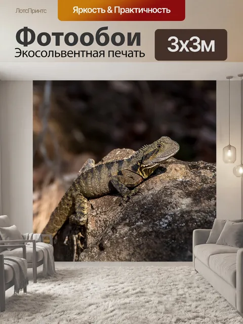 Фотообои Ящерица