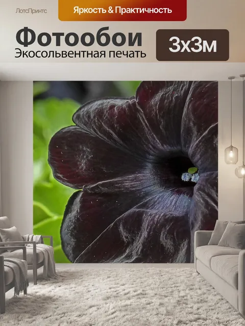 Фотообои Глубокий красный черный
