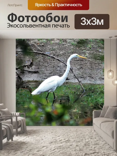 Фотообои Большая белая цапля через деревья