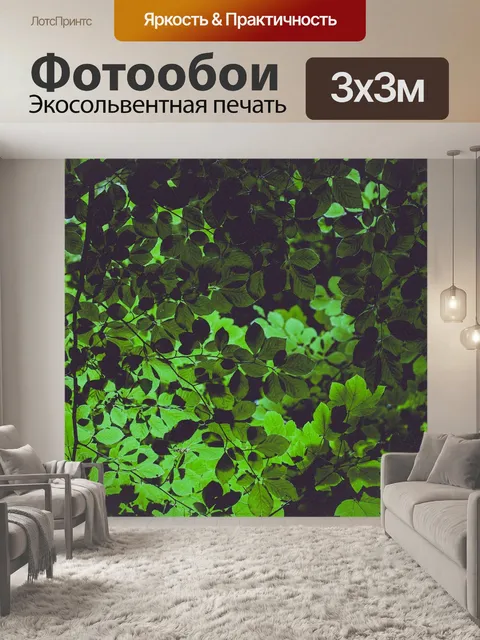 Фотообои Зеленый