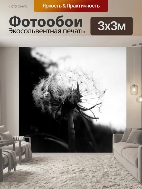 Фотообои Одуванчик
