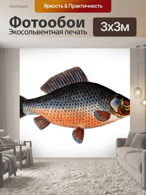 Фотообои Рыба Карп Винтаж Искусство