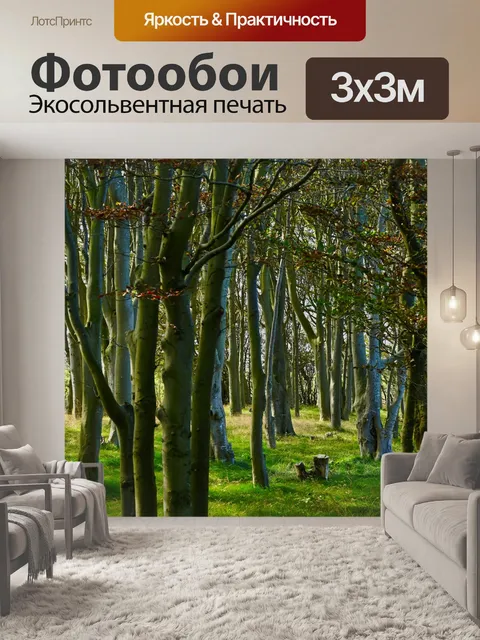 Фотообои Лес