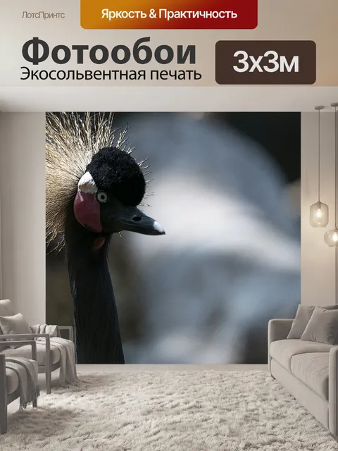 Фотообои Серые венценосные журавли