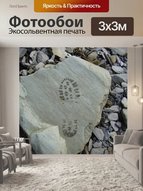 Фотообои Ноги печати