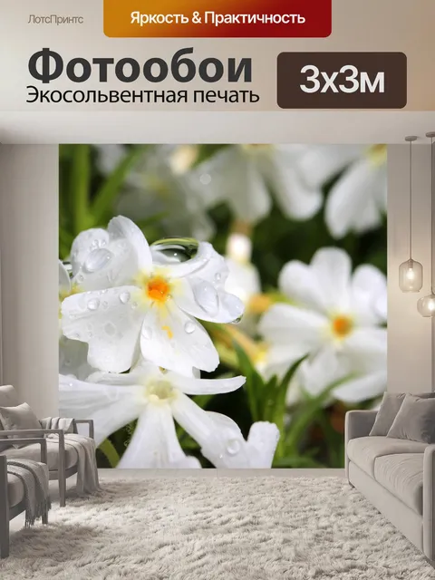 Фотообои Флокс