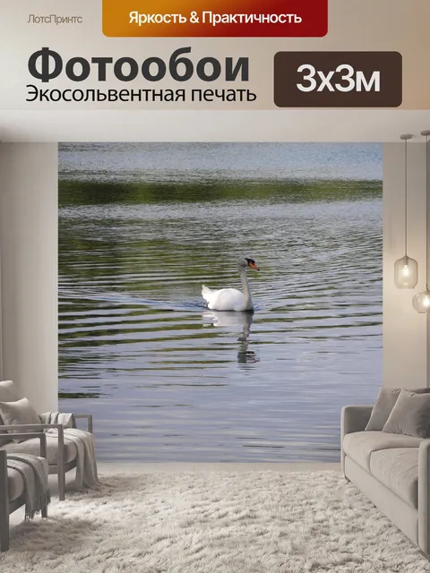 Фотообои Лебедь