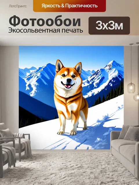 Фотообои на горном курорте, сиба-ину стоит на склоне, улыбаясь, и смотрит на снежные вершины