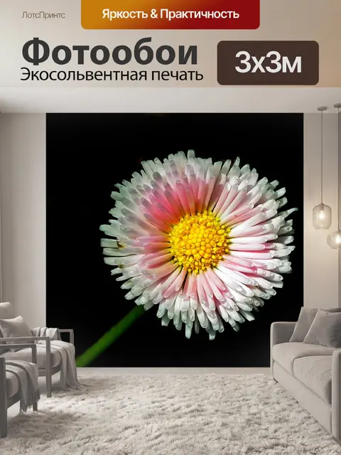 Фотообои Дейзи