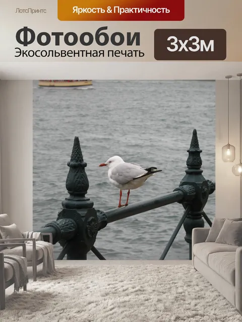 Фотообои Чайка отдыхает на корпусе