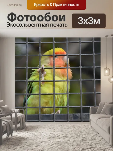 Фотообои Кто смотрит на которых