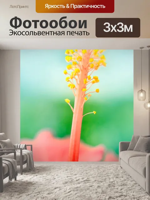 Фотообои Постоянный высокий