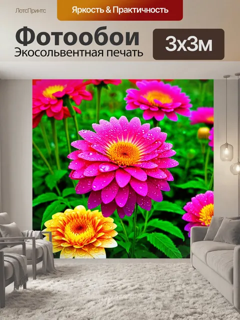 Фотообои цветы в стиле гиперреализм, садовые хризантемы в утреннем свете, капли росы на цветах, яркие цвета