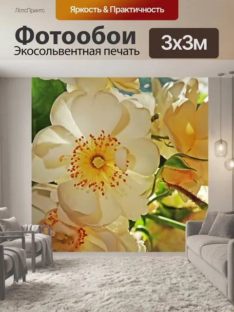 Фотообои Розы