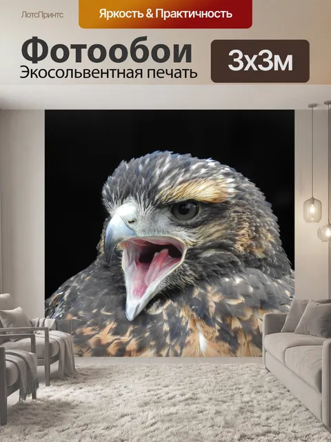 Фотообои Канюк