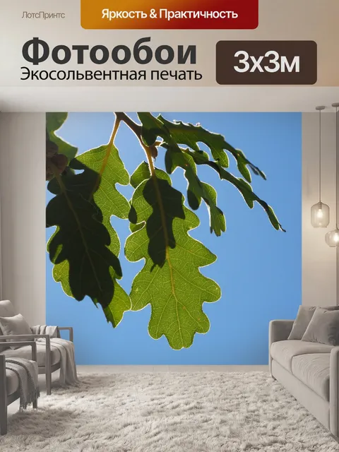 Фотообои Листья