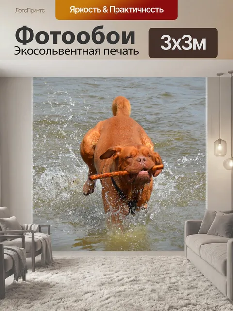 Фотообои Неспокойной водой 18