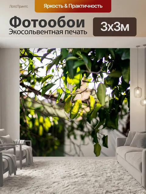 Фотообои Лист