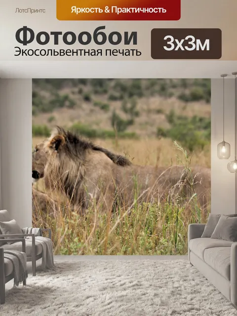 Фотообои Гордость