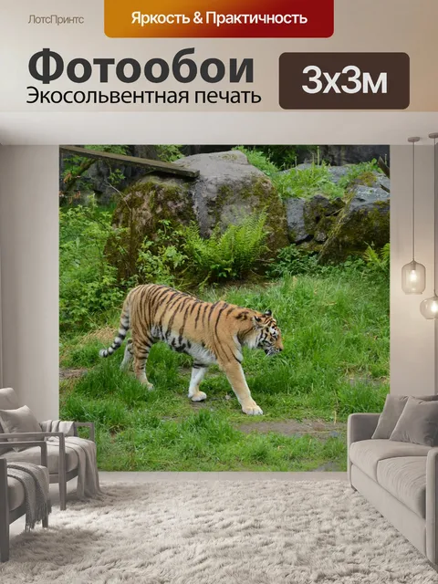 Фотообои Тигр