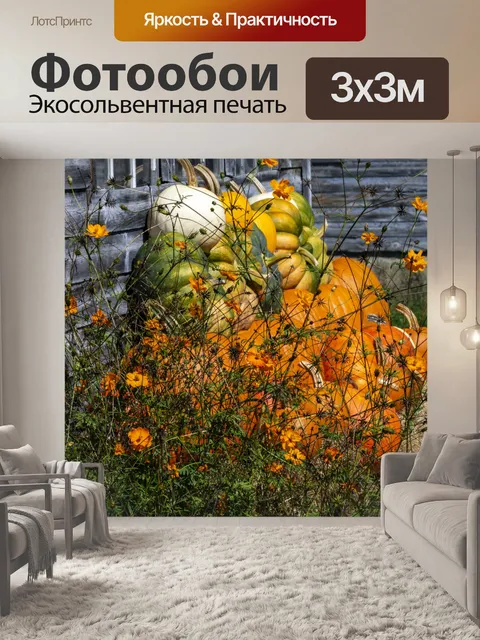 Фотообои Тыквы и тыквы