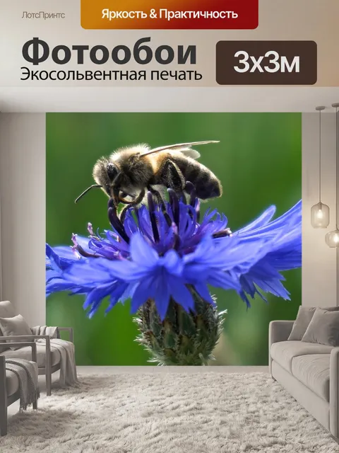Фотообои Васильковый