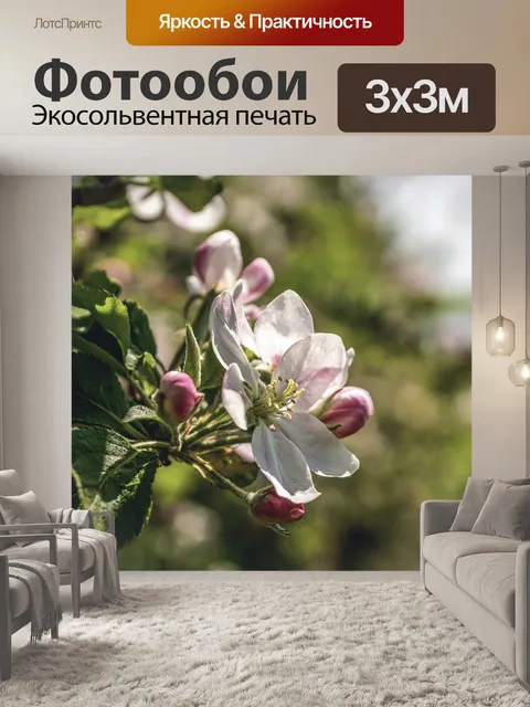 Фотообои Яблоневый цвет