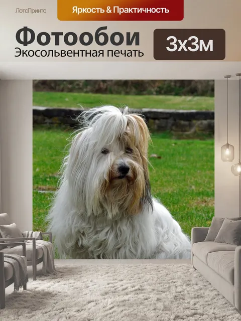 Фотообои Животное