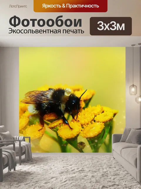 Фотообои Шмель газ
