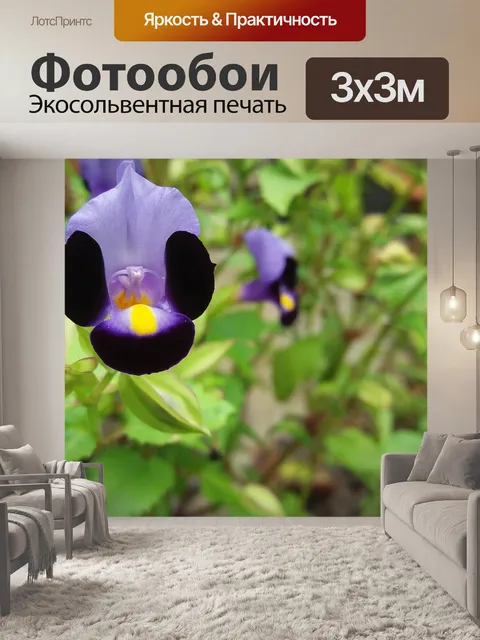 Фотообои Фиолетовый
