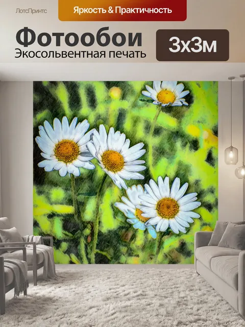 Фотообои Дейзи, обработка фотографий, цветок