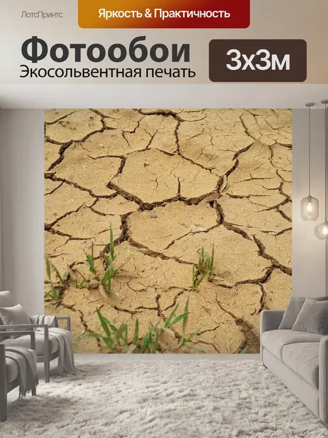 Фотообои Засуха
