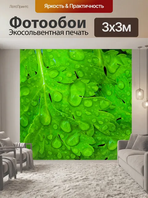 Фотообои Капли дождя на листьях