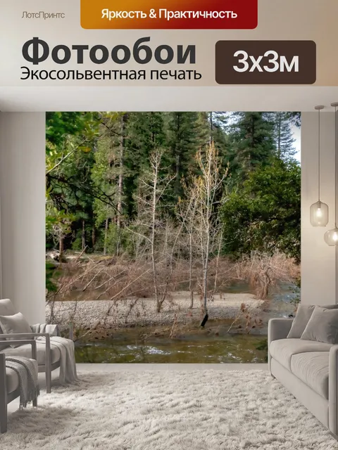 Фотообои Голые деревья в Крике