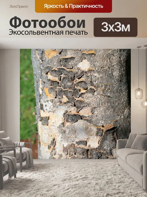 Фотообои шелушение серой корой