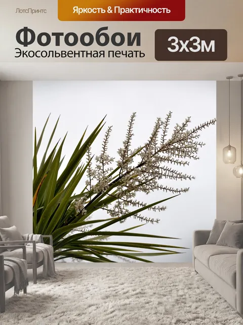 Фотообои Ветки и финиковые цветы