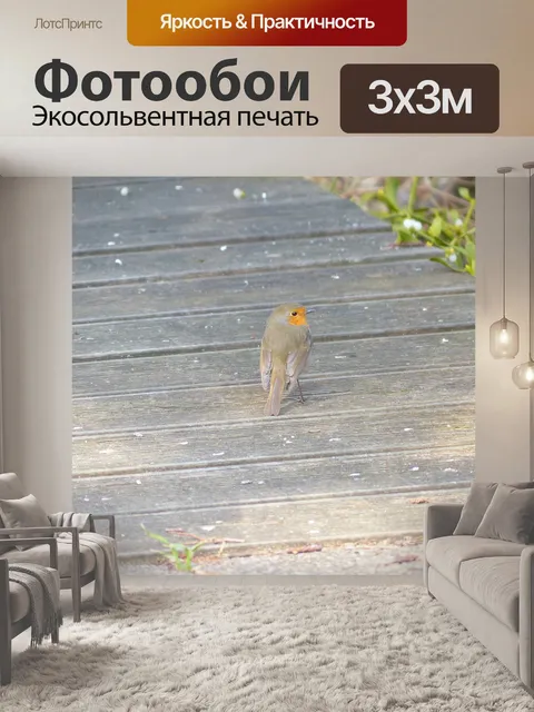 Фотообои Птица