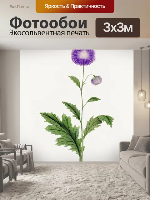 Фотообои Чертополох Уайлдфлауэр винтажное искусст