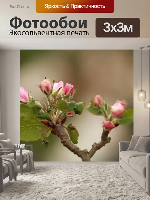 Фотообои Яблоневый цвет