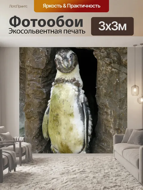 Фотообои Пингвин Нуждаясь ванну