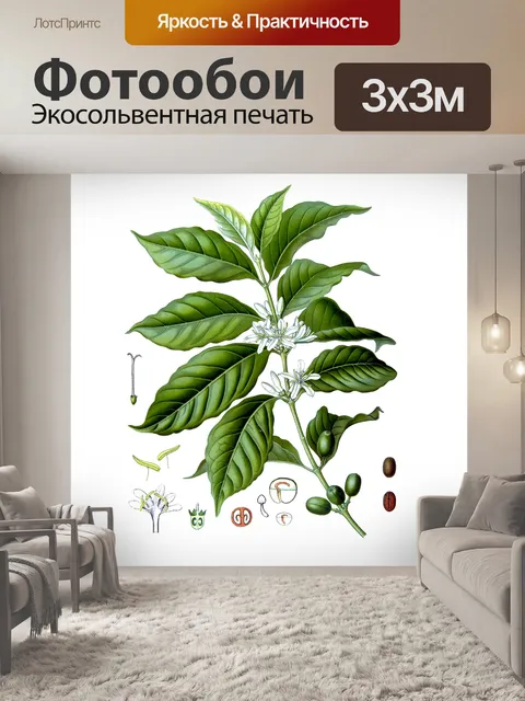 Фотообои Античный Иллюстрация Кофейный Завод