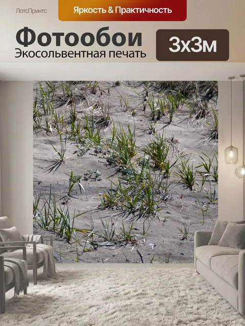 Фотообои Пляжная трава