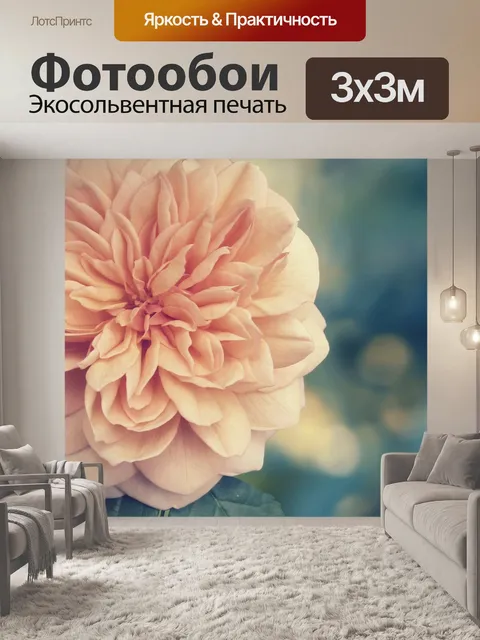 Фотообои Цветок розы оранжевый