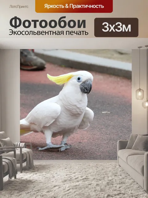 Фотообои Животное