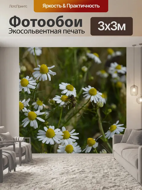 Фотообои Пчела