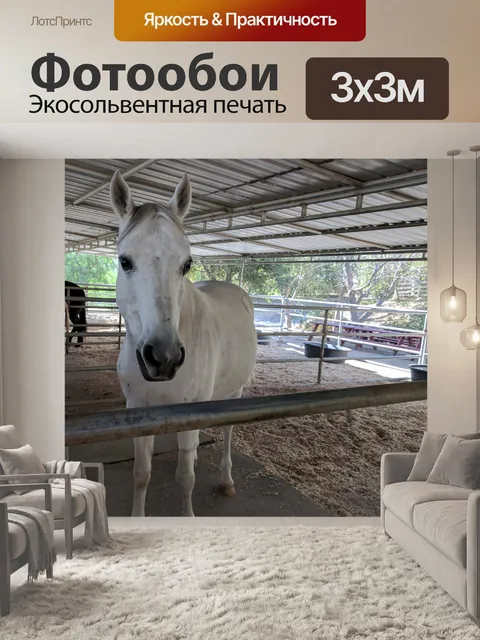Фотообои Белая лошадь
