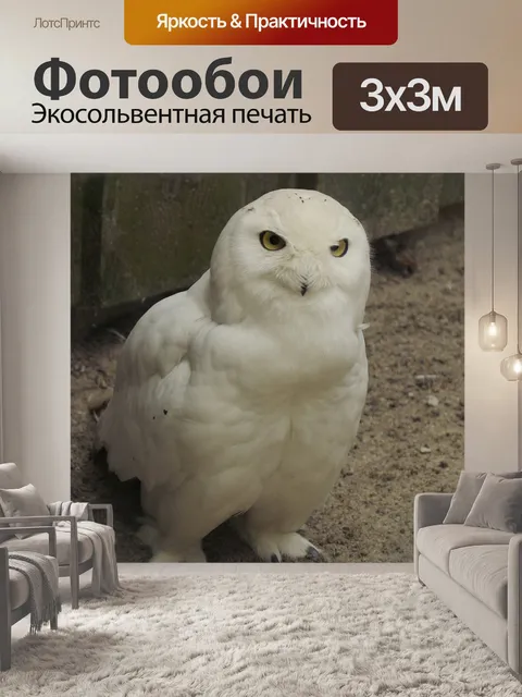 Фотообои Снежная сова