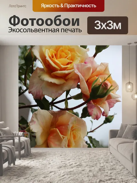 Фотообои Розы
